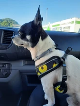 Arnés de nailon para perros y gatos, chaleco con estampado para cachorros de tamaño pequeño y medio, Bulldog Francés y Chihuahua