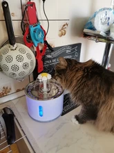 Drinking-Bowl Auto-Feeder CARBON-FILTER Water-Dispenser Water-Fountain Cat Automatic
