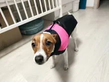 Coat Jacket Puppy-Vest Dogs Waterproof Winter Medium Pet-Dog Zipper Small Large Warm