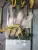 Antminer ASIC S9 13,5-14 ths used c Bop или NBP antminer S9 13,5-14trx used c Bop