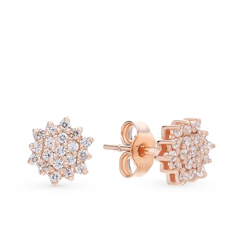 

Silver earrings with cubic zirconia sunlight sample 925 test