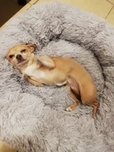 FortyLions-Cama larga de felpa para perros y gatos, cojín largo de felpa super suave y esponjoso para mascotas, cómoda para casa