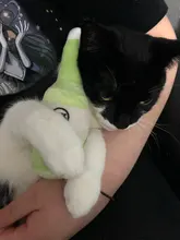 Toy Plush-Toy Pet-Supplies Cloud-Shaped Funny Cartoon Star for Dogs