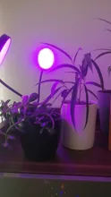 Grow-Light Lamps Timer Flowers Desktop-Clip LED Phyto Full-Spectrum For Plants DC5V USB