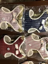 Perro pequeño conjunto de arnés y correa chaleco para gatos mascota Arnés con Bowknot acolchado de malla Pet pistas para pequeño cachorro perros Chihuahua Yorkie
