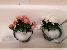 Fake Flower Romantic Rose Wedding-Decoration Silk White Party Valentines-Day Home 