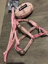 Leash-Set Pet-Products Dog-Harness Dogs Adjustable Small Chihuahua Walking Nylon And