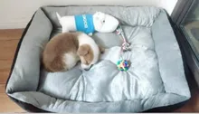 Cama para perro supersuave, perrera grande de algodón, alfombrilla para cachorros, manta impermeable para gato, nido de gato Kawaii de talla grande, accesorios para mascotas