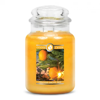

Scented Candle Orange Grove tree/Orange Grove