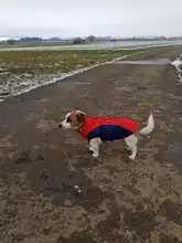 Coat Pet-Dog-Jacket Dogs French Bulldog Waterproof Chihuahua Winter Puppy-Vest Small