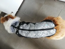 Pet-Dog-Clothes Clothing Walking-Harness Dogs Outdoor Waterproof Large Winter Medium