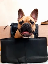 Cubierta de asiento de coche para mascotas 2 en 1, elevador Protector impermeable para gatos y perros, canasta para cachorro, portador de vehículo antideslizante para viajes al aire libre