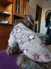 Ropa para mascotas, abrigo estampado bonito para perros pequeños, gatos, Chihuahua, Shih, Tzu, Primavera
