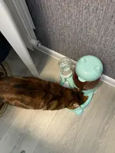 pets Automatic water Feeder for Cat Dog Drinking Bowl Pet Food Dispenser Bottle Practical