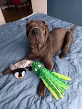 Squeaky Toy Penguin Cheese-Plush Labrador with 2-Sounder Lion-Cow Fits-For Middle 