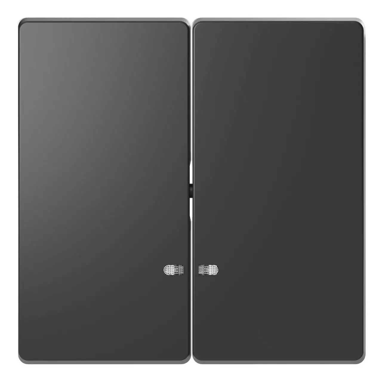 Клавиша двойная Schneider Electric Merten D-Life MTN3420-6034 |