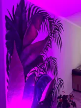 Hydroponic Plant Light-Bar Flower-Growing Red--Blue 5W/27 3W/14LED USB 5V DC 