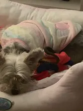 Jacket Outfits Dog Coat Pug-Costume Small Dogs Soft Chihuahua Cartoon Fleece Winter Warm