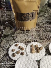 Moringa Oleifera de alta calidad