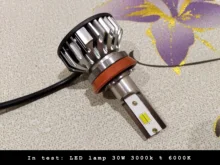 Faros antiniebla halógenos de alta potencia para coche, Bombilla H11 de 55w, 12V, 2300K, color dorado y amarillo, 55W, 2 uds.