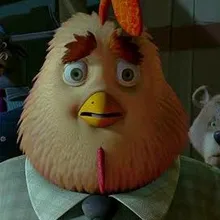 J***g