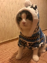 (Rusia aire Express puede pista) suave lana cálida ropa de perro traje de Yorkshire Chihuahua pequeño abrigo para perros