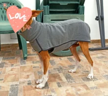 Clothing Pullovers Pet-Coat Pitbull Dogs High-Collar Winter Mascotas Large Medium Big