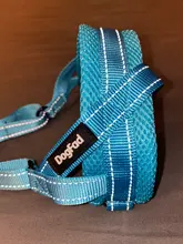 Arnés ajustable para perros medianos y grandes, chaleco reflectante de entrenamiento para caminar, sin tirones, para mascotas