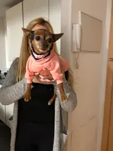 Ropa de Perro para perros pequeños de Jersey para Perro Ropa para perros de invierno Ropa de Chihuahua clásico mascota traje de Ropa Perro 20-22S1