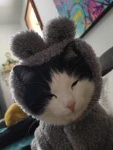 Ropa de Gato caliente para mascotas, abrigo, chaqueta para perros pequeños, medianos, gatos, Chihuahua, ropa de Yorkshire, disfraz rosa, S-2XL