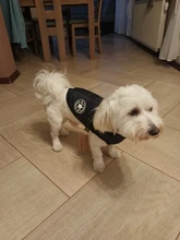 Pet-Dog-Jacket Harness Bulldog-Outfits Labrador Warm French Chihuahua Waterproof Large