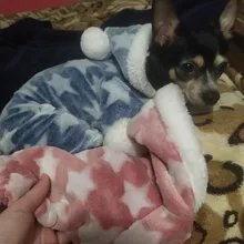 Pijamas de perros para otoño e invierno, Mono para perros pequeños, jerseys Shih Tzu Yorkshire, ropa de lana suave para cachorros y gatos