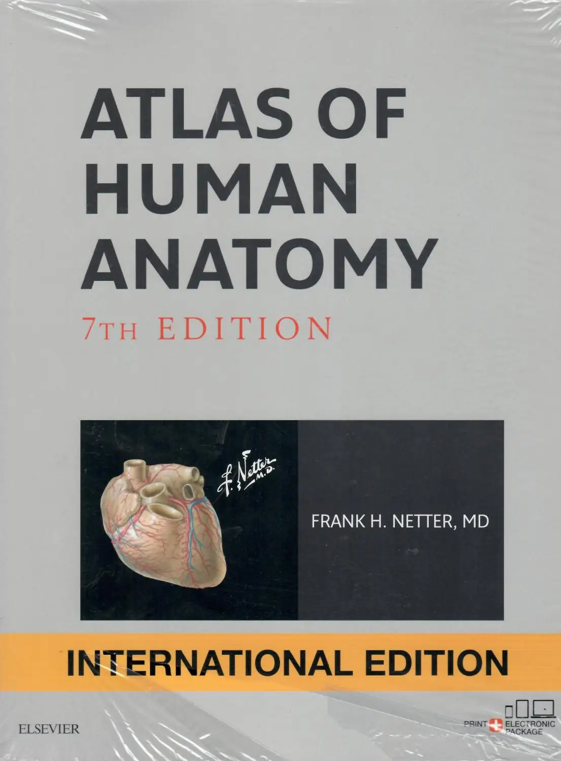 Atlas of Human Anatomy, Edición Internacional, 7. ª edición