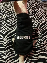 Ropa Para gato mascotas abrigos para gato chaqueta sudaderas con capucha para gatos traje cálido para mascotas conejo animales traje para mascotas para perros