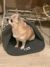 Dog-Bed House Products Pets-Cushion Slippers-Style Winter Cat Soft for High-Quality Pet-Dog