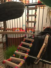 Toys Hamster Rope-Parrot Wood Ladder Pet-Bird Budgie Climb Home Harness Cableway Bites