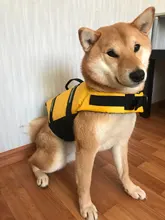 Chaleco Salvavidas para perro, chaqueta Salvavidas para mascota, ropa de seguridad, traje de baño para mascotas, Chaleco de seguridad para verano