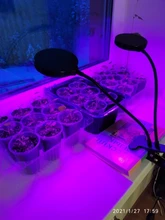 Grow-Light Lamps Timer Flowers Desktop-Clip LED Phyto Full-Spectrum For Plants DC5V USB