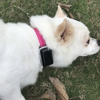 

Pet Collar AODIHENG Branded Premium Mini GPS Tracking Locator with Real-Time Remote Monitoring on Free IPMI Anti-Lost PetTracker