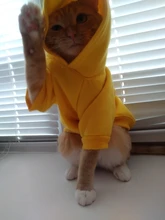 Seguridad ropa para gato mascotas abrigos para gato chaqueta sudaderas con capucha para los gatos traje cálido ropa para mascotas ropa de conejo Animales Mascotas traje para perros 30