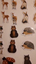 Mohamm-pegatinas en caja de 45 Uds., pegatinas de animales de granja, decoración de pingüinos, pegatinas escamas, regalo de Scrapbooking, suministros escolares para niñas