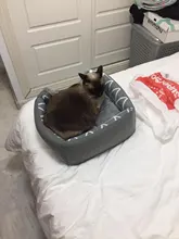 Cama para perros, gatos, cama blanda cama perrera casa cueva cama de saco para dormir Pad tienda mascotas invierno cálido y acogedor camas 2 tamaño L XL 2 colores