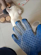 Guante de aseo para mascotas, cepillo de silicona para perros y gatos, peine, guantes de pelo desodorizados, suministros para limpieza de mascotas, guante de peines para gatos