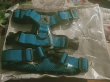 Puppy-Vest Harnesses Pet-Training-Product Reflective No-Pull-Mesh Dogs Adjustable 