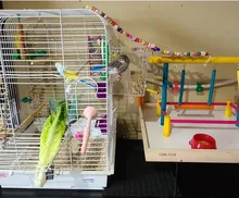 Box Cage Perch-Stand Birds-Supplies Bird-Parrot-Feeder Feeding-Tools Hanging Parrots