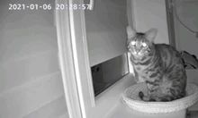 3MP cámara IP PTZ al aire libre Wifi velocidad Wireless Wifi de seguridad Pan Tilt cámaras de 4X Zoom Digital red CCTV vigilancia