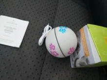 Ball Pet-Products Catnip PETONEER Smart Cat Rechargeable Automatic Toy Playing Funny Cat