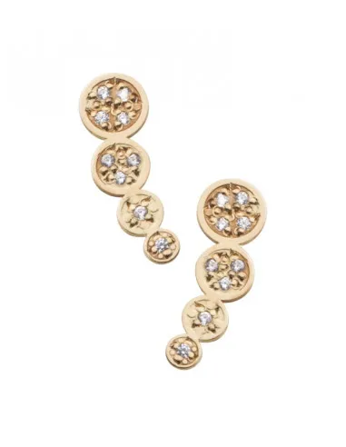 Pendientes circulos y Circonitas
