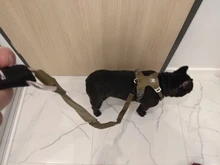 Harness Light-Weight Military-Service Truelove Dog Small Outdoor Tactical Medium Adjustable