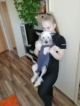 Dog-Carrier-Bag Dog-Backpack Puppy Kangaroo Travel Breathable Out Benepaw Front 6-Colors